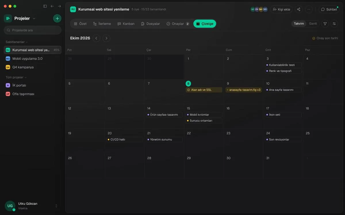 Proje takvimi