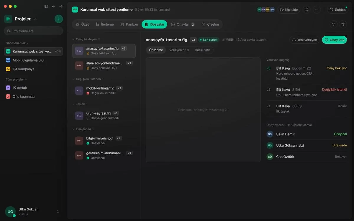 Project files