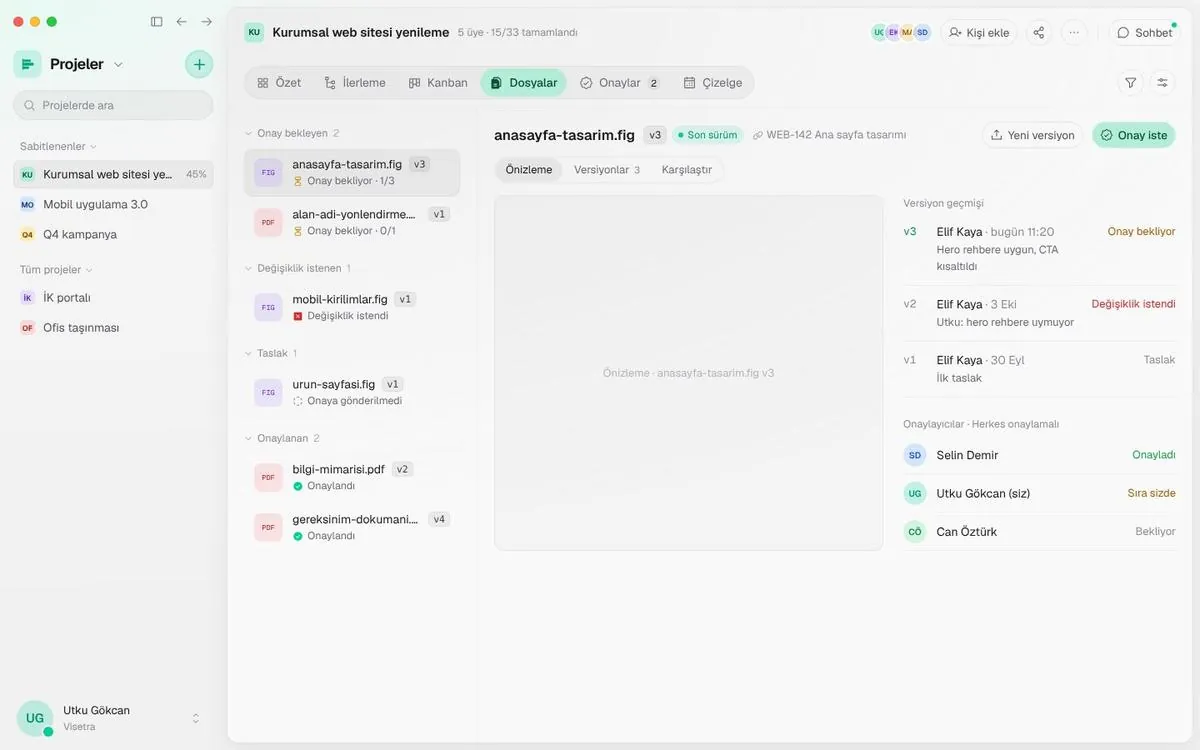 Project files